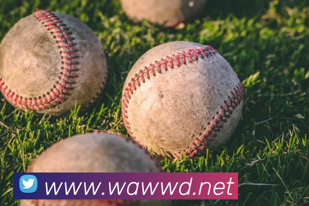 问鼎娱乐平台生态图